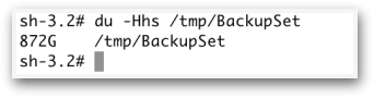 backup_set_usage_du.jpg